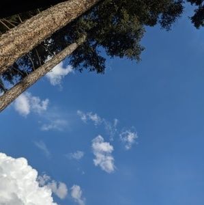 Meet your Posher, Joanne